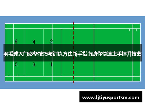 羽毛球入门必备技巧与训练方法新手指南助你快速上手提升技艺